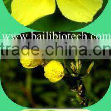 Oil for Female Health Evening Primrose Oil