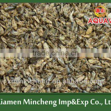 Sun Dried Waterfly,Fish Feed
