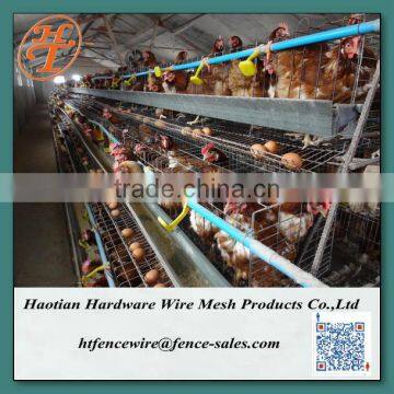 galvanized welded wire chicken cages