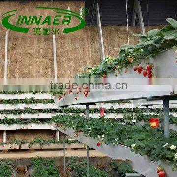 Vegetable plant slot for One of the best agricultural products