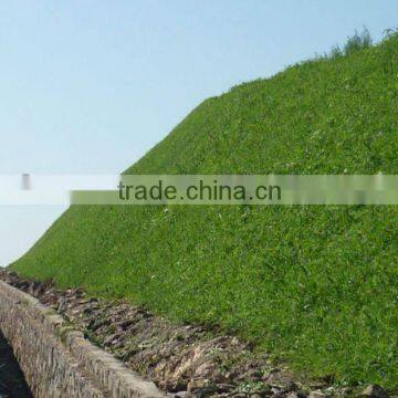 Competitive price slope greening machine for landscape