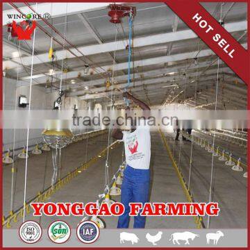 Hot salling poultry feeding system for Automatic Poultry farming equipment for Chickens