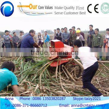 Diesel engine power sugar cane leaf stripping machine