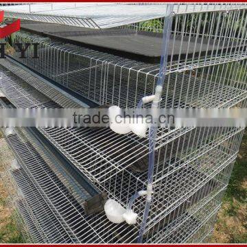 H Type 6 Tiers Quail Cage Farm Design photo-5