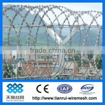 Razor barbed wire / Hot dip Galvanized razor barbed wire