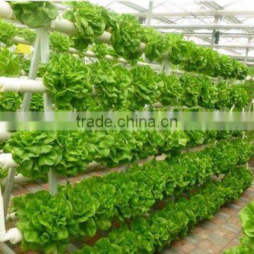 Professional Greenhouse Project Commercial Hydroponic Systems photo-2