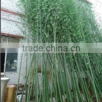 SJWS2015032404 Guangzhou Manufacturer Whole Sell Customized Garden Decoration Artifcial Fake Bamboo Tree photo-4