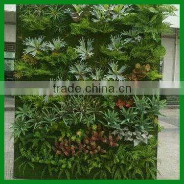 Artificial Plastic Green Wall