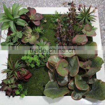 Durable and High Destiny Vertical Green Wall System Fake Plant Wall photo-2