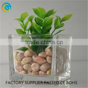 Square clear glass vase for homedecoration
