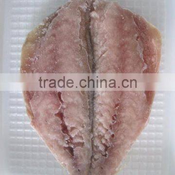 Horse Mackerel photo-3