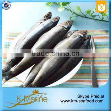 Price Frozen Canned Sardine