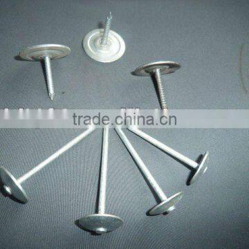 Box Iron Nail Polish China Supplier photo-3