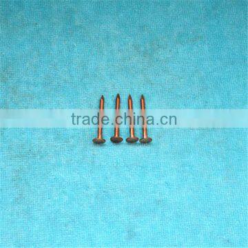 Concrete Brass Nail photo-2