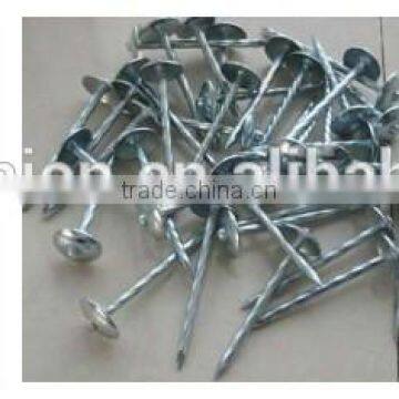 China Roofing Nails/roofing Nails Umbrella Head/roofing Nails Cheap Price