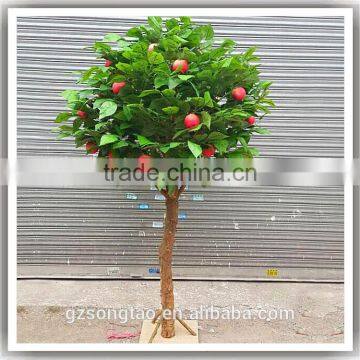 Realistic Mini Apple Plants Fresh Apple Fruits for Sale photo-3