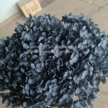 Hot Sale Natural Preserved Hydrangea Flowers for Events Decor