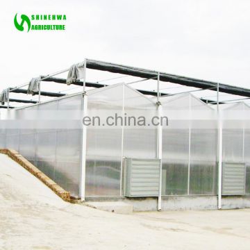 Tropical Greenhouses And Commercial Hydroponic Growing Systems For Tomato, Lettuce and Strawberry