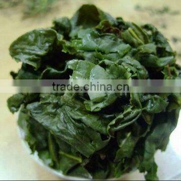 Tie Guan Yin High Quality Hot Sale Oolong Tea Fujian Tieguanyin Oolong Tea photo-4