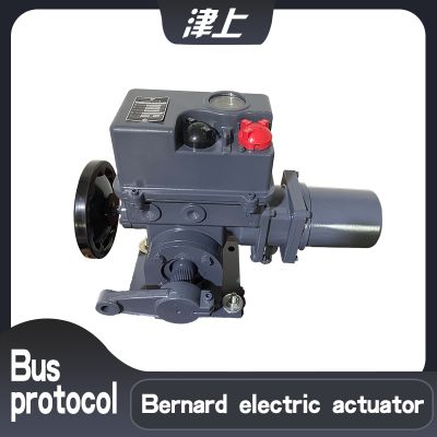 Bernard electric actuator BS-60/F30H partial rotary electric actuator