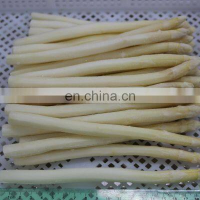 Green Food Frozen Asparagus Tips Frozen Asparagus New Crop Factory Price Good Quality