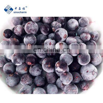 Sinocharm Frozen fruits Premium variety Organic Nutrient-rich IQF Black Currant Frozen Whole Black Currant