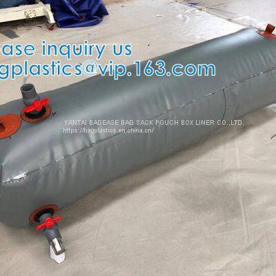 Liquid Pac Palm Oil Storage Fibc Jumbo Bags Flexibag Container 20ft 24000L Bulk Vinger Bladder Bag Fuel Oil Transport photo-4