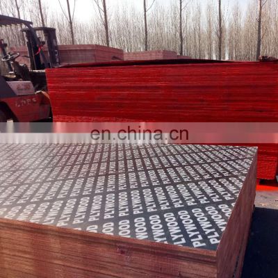 Construction usage film faced plywood 1220*2440*18mm marine plywood  Finger joint plywood