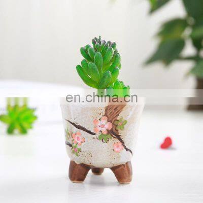 Home Succulent Plant Flower Pots Glazed Creative Hand Painted Pot Korea Plants Succulents Live Flowerpot Tray Korean Planter