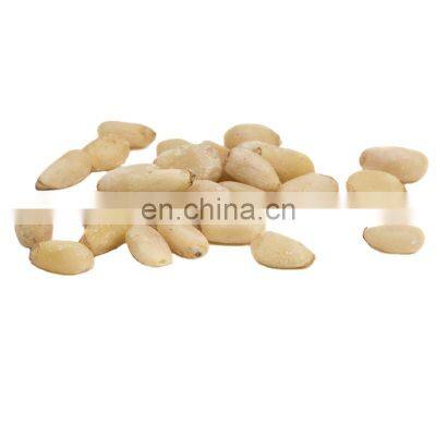 Byloo Premium Quality Cheap Bulk Price Wholesale Black White Raw Roasted Butter Coated Online Trade Nut Cedar Pine photo-5