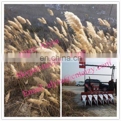 Factory Direct Sales new small mini reed combine harvester, reed combine harvester