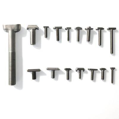 Customized T Bolt With a T Shape Head photo-2
