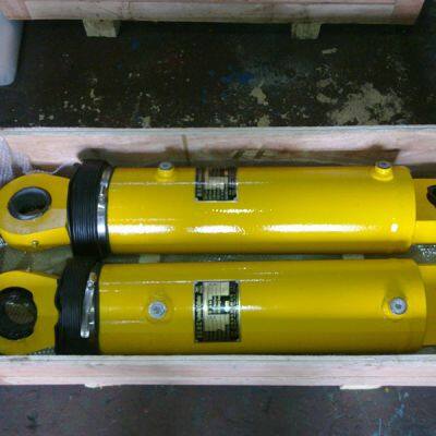 Cheap Log Splitter Hydraulic Lift Cylinder for Sale photo-3