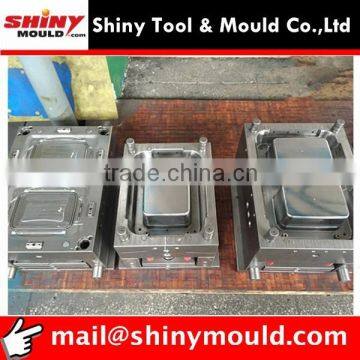 Plastic Fresh Container Mould