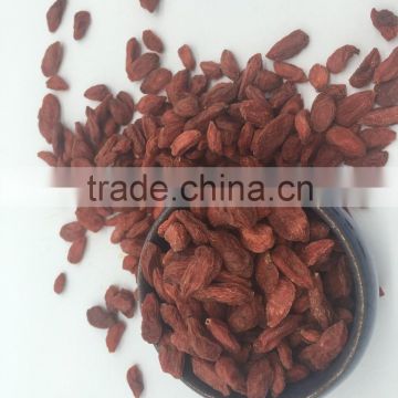 Dalian EASTDAWN Goji Berries Dried