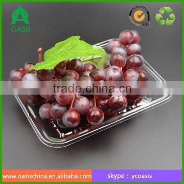 Rectangular clear vacuum forming ClamShell Punnet PET Tray 20*15*2.5cm