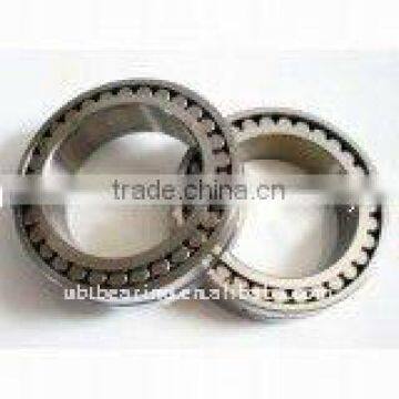 SL182204 Cylindrical Roller Bearing