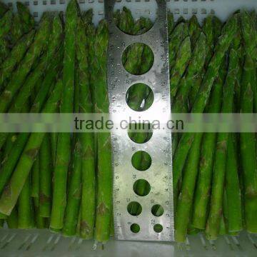 IQF Frozen Asparagus photo-2