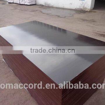 film faced plywood/marine plywood/construction plywood