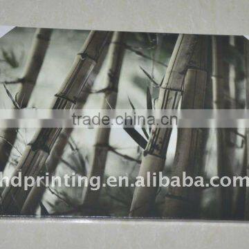 black and white bamboos canvas frame paints