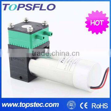 Brushless DC battery driven air diaphragm pump for water purifier