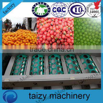 Professional Making Machine Garlic Grading Machine photo-2