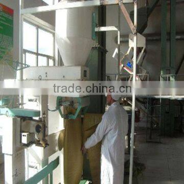 Sunflower Seeds Long Shape photo-3