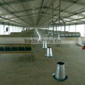 poultry farm shed chicken house