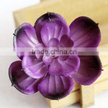 Wholesale Artificial Succulent Plants Mini Succulent Plants Succulent Plants Tropical Plants photo-5