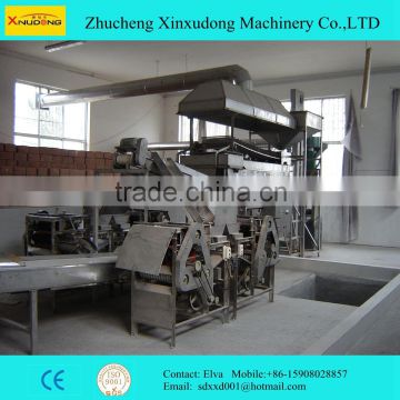 Fully-Automatic Peanut Frying Processing Line