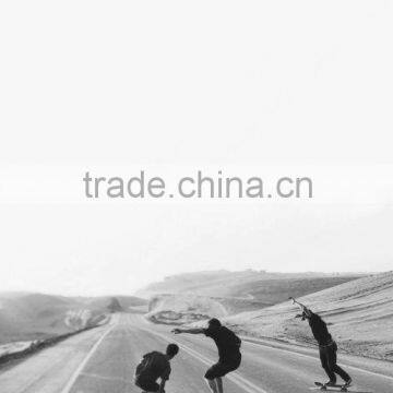 Maxfind Shenzhen Manufacturer Cheap Longboard Electric Skateboard Motor Kit photo-6