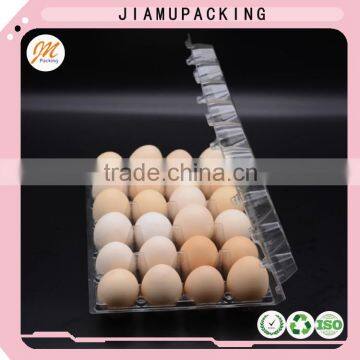 24 Hole Transparent Plastic Egg Tray Price photo-5