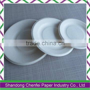 Disposable bagasse paper plate, paper cups and paper lunch box