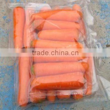 fresh 2014 crop Chinese bright red carrot